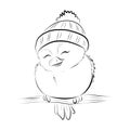 cute little sparrow with woolly hat