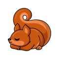 Cute little squirrel cartoon sleeping