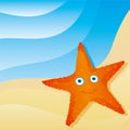 Cute little starfish
