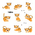 Cute Little Striped Tiger Cub with Orange Fur in Different Pose Vector Set