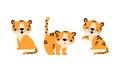 Cute Little Striped Tiger Cub with Orange Fur Sitting and Licking Vector Set