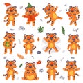 Cute Little Striped Tiger Cub with Orange Fur Vector Set