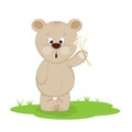 Cute little Teddy bear carry a bouquet flowers on a white background Royalty Free Stock Photo