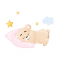 Cute little teddy bear on a transparent background, sleeping on a pink pillow, vector illustration, children's