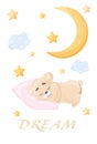 Cute little teddy bear on a transparent background, sleeping on a pink pillow, vector illustration, children's Royalty Free Stock Photo