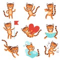 Cute Little Tiger in Different Situations Set, Funny Adorable Wild Animal Cartoon Character Vector Illustration Royalty Free Stock Photo