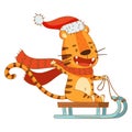 Cute little tiger in Santa Claus hat riding sledge. Adorable baby animal character cartoon vector illustration