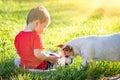 Cute Baby Boy Sitting In Grass Playing With Dog Royalty Free Stock Photo