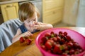 Cute little toddler boy eating strawberries at home. Fresh organic frutis for infants Royalty Free Stock Photo