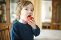 Cute little toddler boy eating strawberry at home. Fresh organic fruits for infants