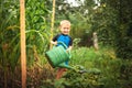 Cute little toddler boy watering plants with watering can in the garden. Adorable little child helping parents to grow vegetables Royalty Free Stock Photo