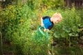 Cute little toddler boy watering plants with watering can in the garden. Adorable little child helping parents to grow vegetables
