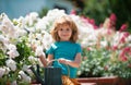 Cute little toddler boy watering plants with watering can in the garden. Child helping parents to grow flowers in yard Royalty Free Stock Photo