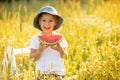 Cute little toddler child, blond boy, eating watermelon in beautiful daisy field Royalty Free Stock Photo