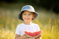 Cute little toddler child, blond boy, eating watermelon in beautiful daisy field Royalty Free Stock Photo