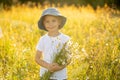 Cute little toddler child, blond boy, eating watermelon in beautiful daisy field