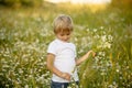 Cute little toddler child, blond boy, eating watermelon in beautiful daisy field