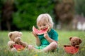 Cute little toddler child, blond boy, eating watermelon in the park Royalty Free Stock Photo