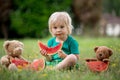 Cute little toddler child, blond boy, eating watermelon in the park Royalty Free Stock Photo