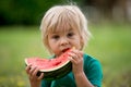 Cute little toddler child, blond boy, eating watermelon in the park Royalty Free Stock Photo