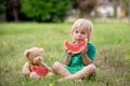 Cute little toddler child, blond boy, eating watermelon in the park Royalty Free Stock Photo