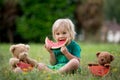 Cute little toddler child, blond boy, eating watermelon in the park Royalty Free Stock Photo