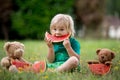 Cute little toddler child, blond boy, eating watermelon in the park Royalty Free Stock Photo