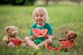 Cute little toddler child, blond boy, eating watermelon in the park Royalty Free Stock Photo