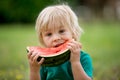 Cute little toddler child, blond boy, eating watermelon in the park Royalty Free Stock Photo