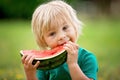 Cute little toddler child, blond boy, eating watermelon in the park Royalty Free Stock Photo