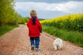 Cute little toddler child, blond boy, walking his little pet dog in the rural, rapeseed field next to him Royalty Free Stock Photo