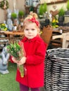 Cute little toddler girl with bunch of fresh tulips in flower shop. Adorable child in red coat buy flowers, tulips for Royalty Free Stock Photo