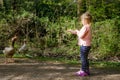 Cute little toddler girl feeding wild geese family in a forest park. Happy child having fun with observing birds and Royalty Free Stock Photo