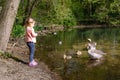 Cute little toddler girl feeding wild geese family in a forest park. Happy child having fun with observing birds and Royalty Free Stock Photo