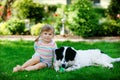 Cute little toddler girl playing with family dog in garden. Happy smiling child having fun with dog, hugging playing Royalty Free Stock Photo