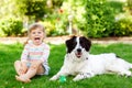 Cute little toddler girl playing with family dog in garden. Happy smiling child having fun with dog, hugging playing Royalty Free Stock Photo