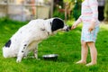 Cute little toddler girl playing with family dog in garden. Happy smiling child having fun with dog, hugging playing Royalty Free Stock Photo