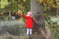 Cute little toddler girl in red coat making a walk through autumn forest. Happy healthy baby enjoying walking with