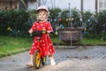 Cute little toddler girl in safety helmet riding on run balance bike. Happy healthy lovely baby child having fun with Royalty Free Stock Photo