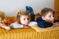 Cute little toddler girl and school kid boy watching animal movie or movie on tv. Happy healthy children, siblings Royalty Free Stock Photo