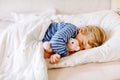 Cute little toddler girl sleeping in bed with favourite soft plush toy lama. Adorable baby child dreaming, healthy sleep Royalty Free Stock Photo