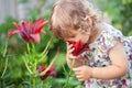 Adorable toddler girl smelling flowers Royalty Free Stock Photo