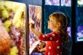 cute little toddler girl visiting zoo aquarium. Happy baby child watching fishes and jellyfishes, corals. Fascinated Royalty Free Stock Photo