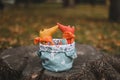 Cute little toys sit in a basket in the autumn garden. Childhood, baby, holiday, people, hobby, emotions concepts