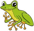 Cute little tree frog cartoon illustration Royalty Free Stock Photo