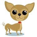 Cute little vector puppy Chihuahua