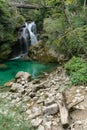 A cute little waterfall of the Vintgar Gorge in Slovenia