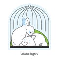 Cute little white rabbit. Cruelty free sustainable development. Vegan