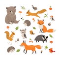 Cute little woodland wild animals and birds Royalty Free Stock Photo
