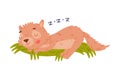 Cute Little Xerus Character with Pretty Snout Sleeping on Green Grass Vector Illustration